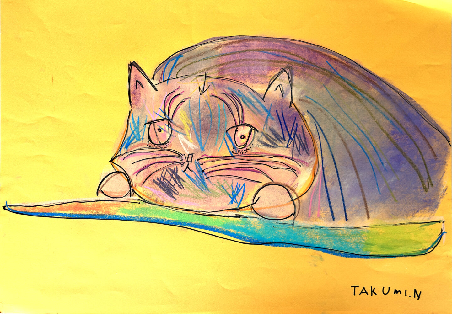 中谷 匠「THE CAT」