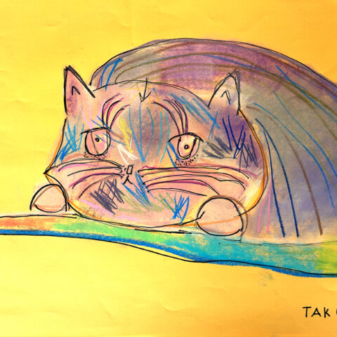 中谷 匠「THE CAT」