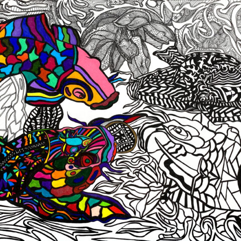 田中拓実「鯉の群れ」