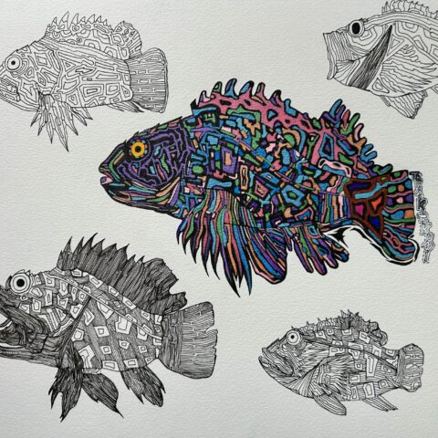 田中拓実「さまようカサゴ」