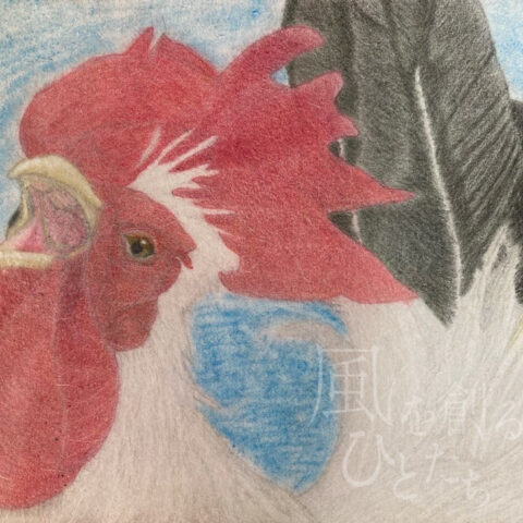 片山 八雲「ニワトリ」