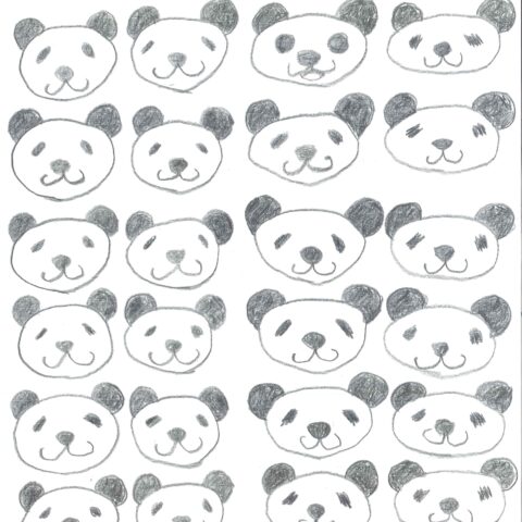 いっぱいパンダ　１匹だけちがうよ