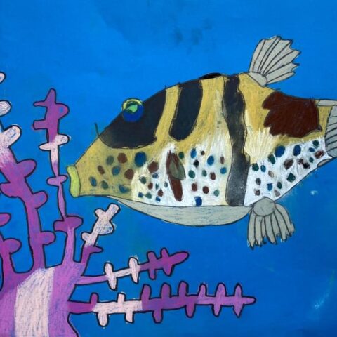 増田 隆征「カワハギ」