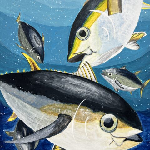 提坂帆乃夏「マグロ」