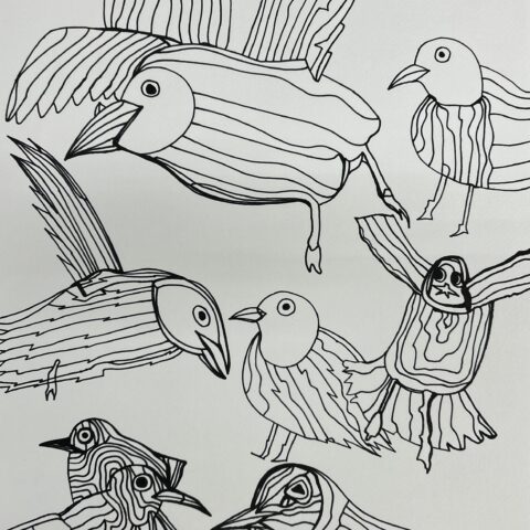 田中 拓実「さまようカモメ」