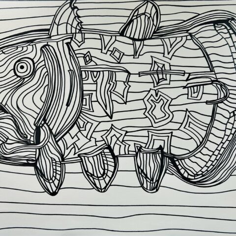 田中拓実「シーラカンス」