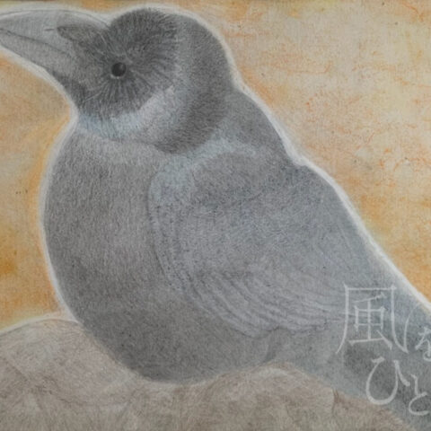 片山 八雲「ハシブトガラス」