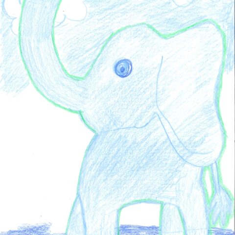 ぞうさん「ぱおーん」