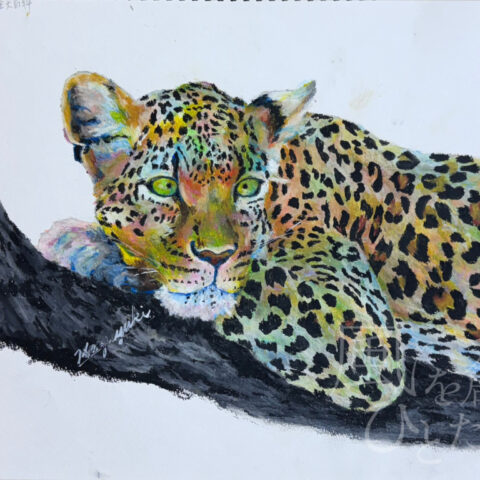 Kazuyuki「くつろいだヒョウ」