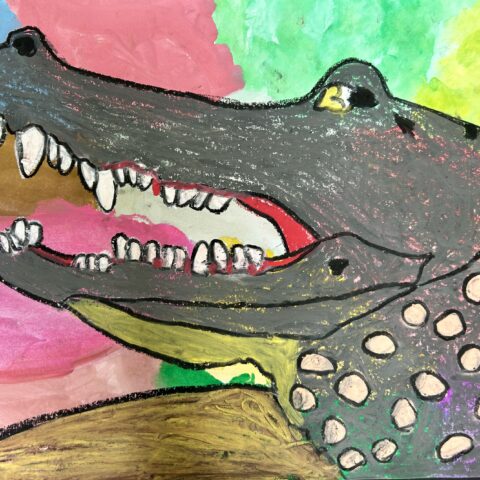 柳沼 有里「ワニ」