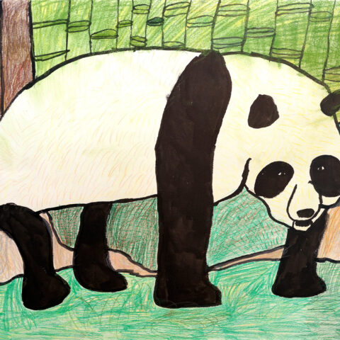 増田 隆征「パンダ」