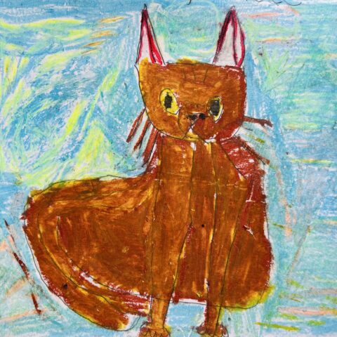 廣瀬 綸子「プロヴァンスの猫」