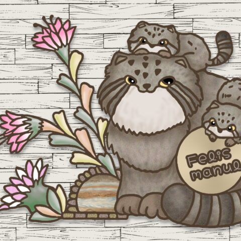 葉月ハブ「マヌルネコの親子」