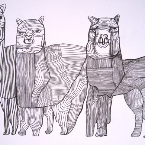 田中 拓実「アルパカ」