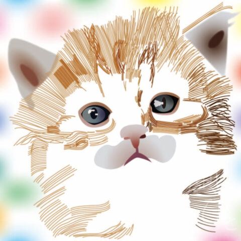 西尾 亜加梨「猫が描きたかっただけ...」