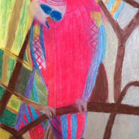 西岡厚子「オウム」