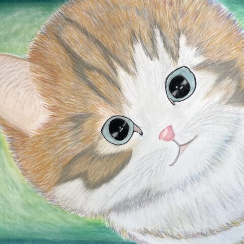 望月 絵利果「ねこ」