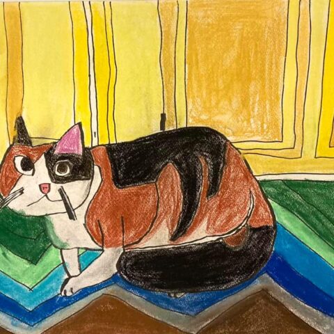 宇川 輝「ネコ」