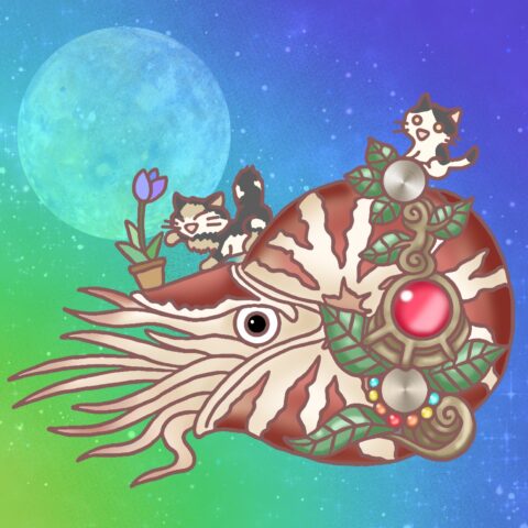 葉月ハブ「夜空に浮かぶオウム貝」