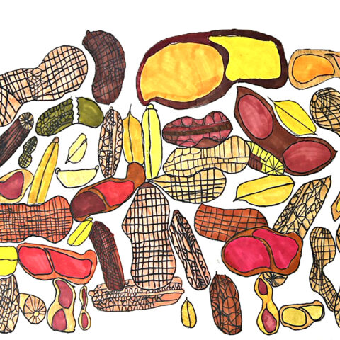 大畑行秀「nuts」