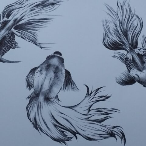 伊藤 真希「エデン」