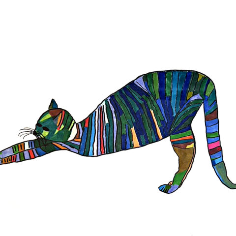 天野嘉人「背伸びネコ」