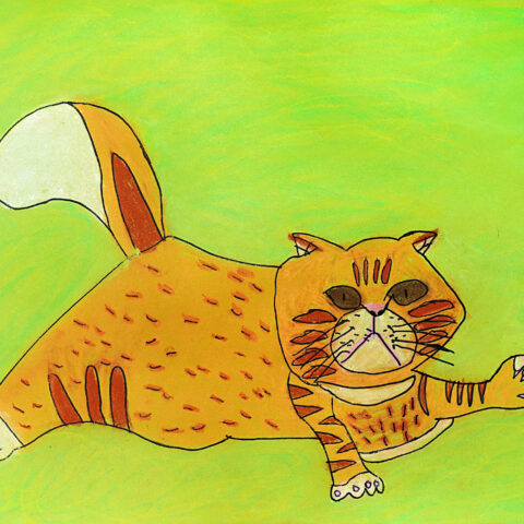 増田 隆征「THE CAT」