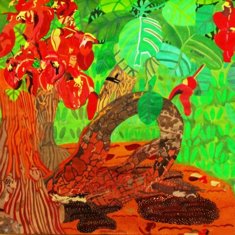 安田幸大「ディゴの木」