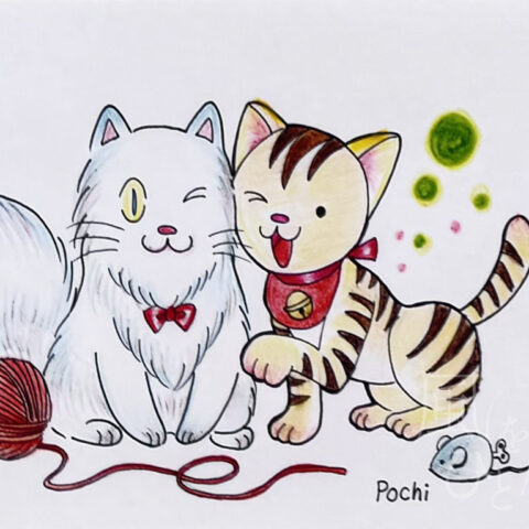 福丸 ぽち「ポストカード②」