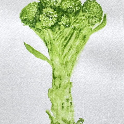 鈴木 徹「ブロッコリー」