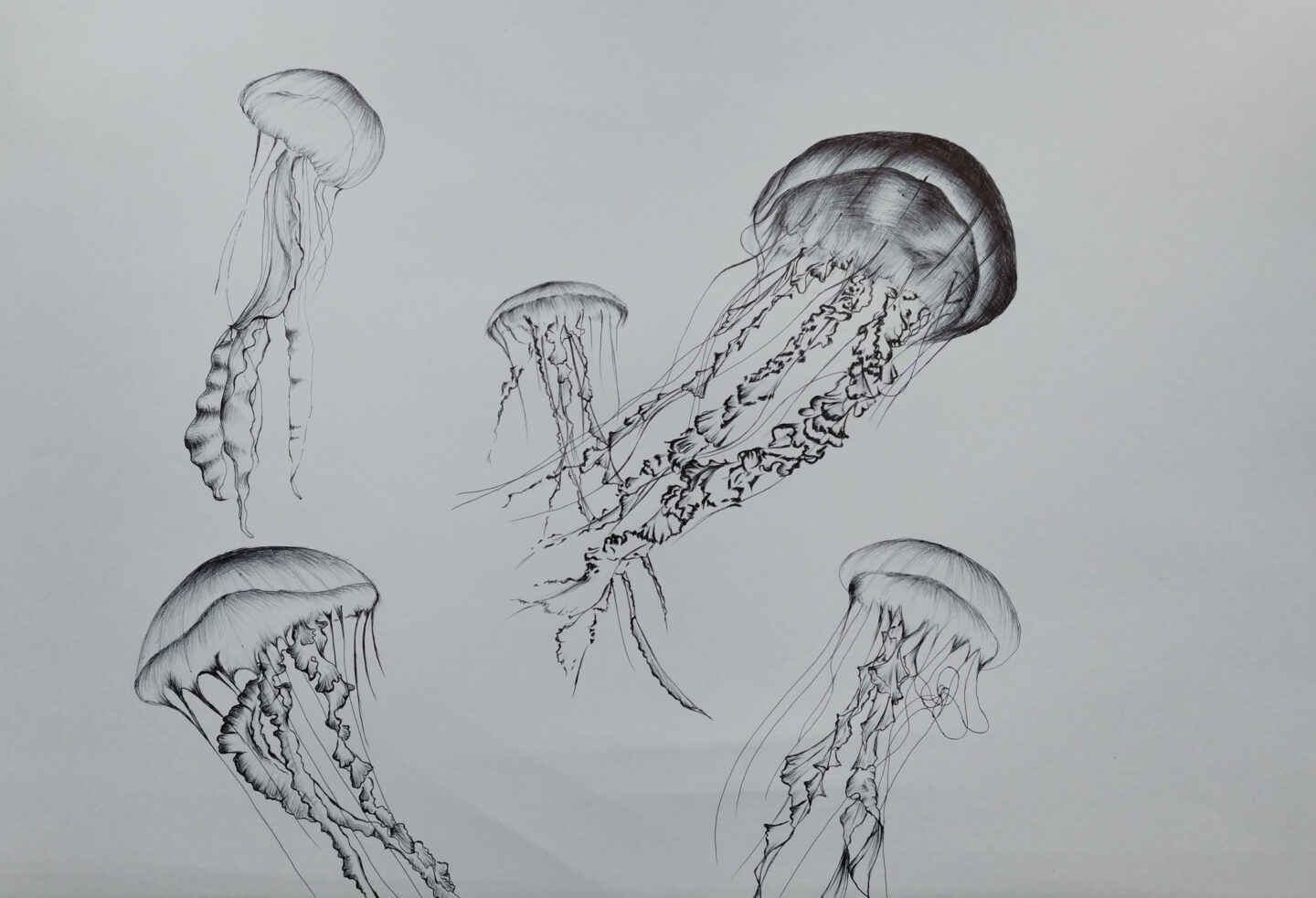 伊藤 真希「フリーダム」