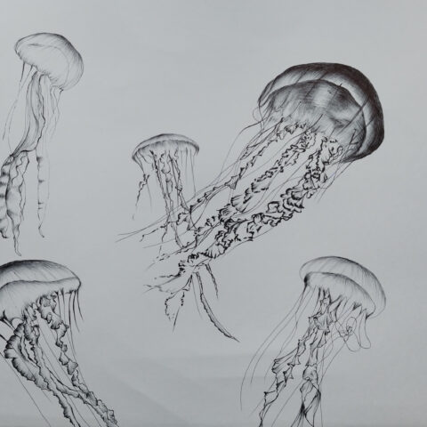 伊藤 真希「フリーダム」