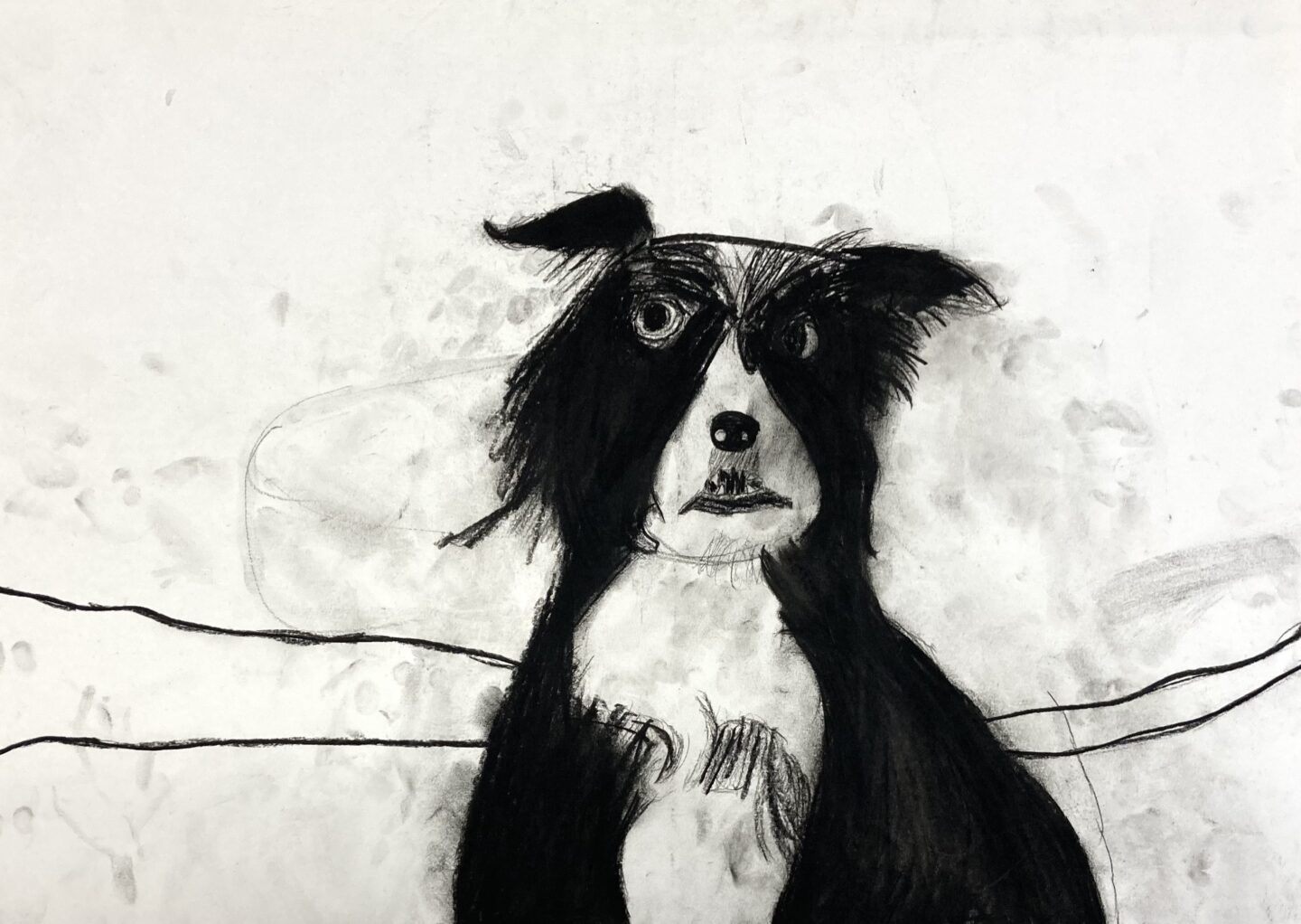 遠藤 佑紀「the dog」