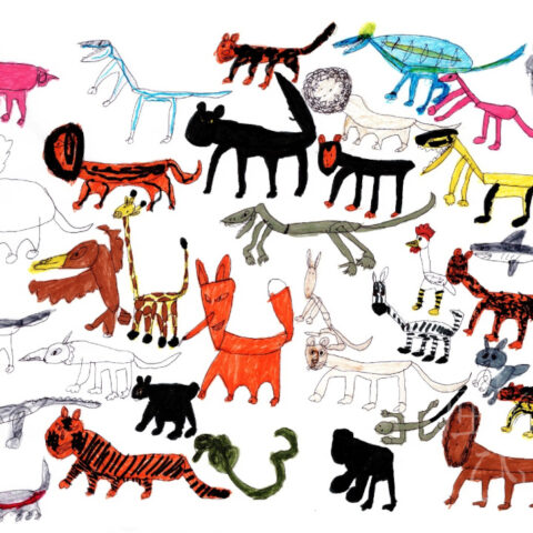 大村 ごうき「スッポンがみんなにちゃんと歩きましょうねと言っています」