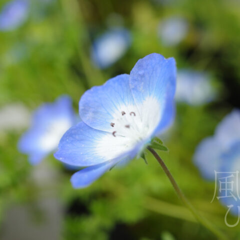 小松 アツヒト「どこでもうまくいく」