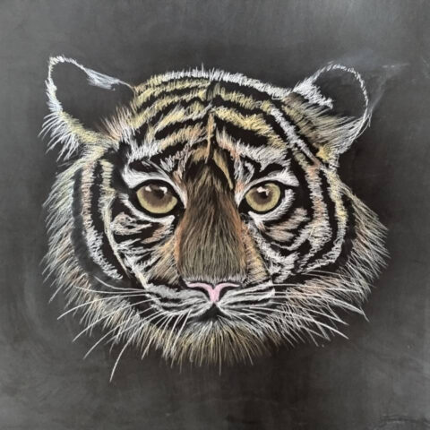 伊藤 真希「トラ」