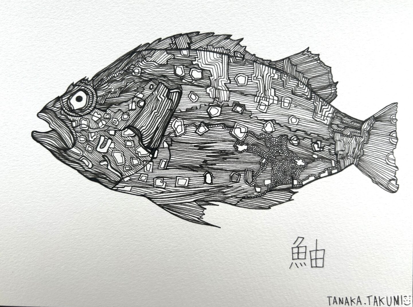 田中 拓実「鮋（カサゴ)」