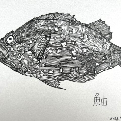 田中 拓実「鮋（カサゴ)」