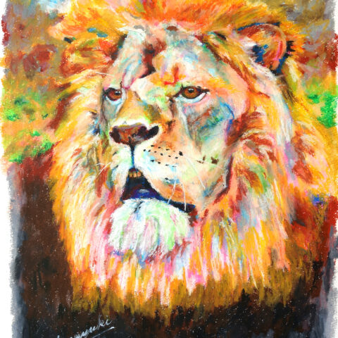 Kazuyuki「ライオン」