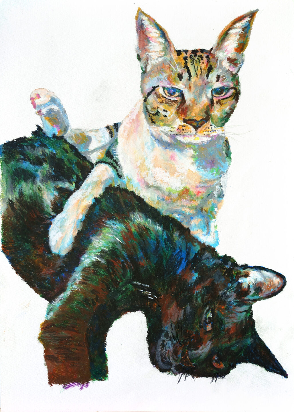 Kazuyuki「2匹の猫」