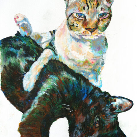 Kazuyuki「2匹の猫」