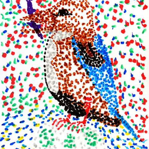 アオショウビン