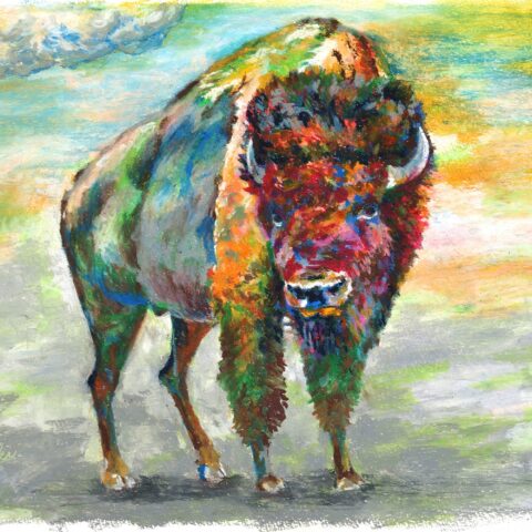 Kazuyuki「バッファロー」