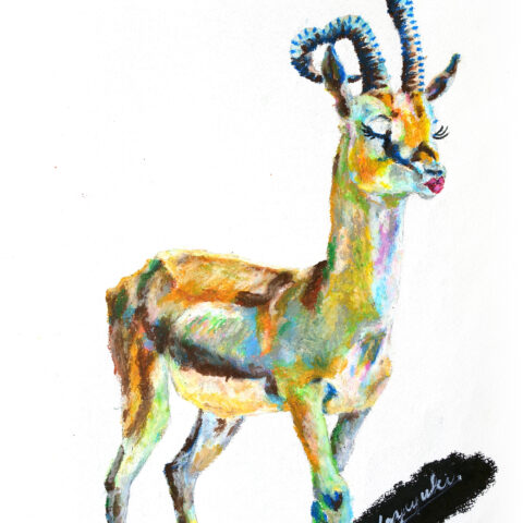 Kazuyuki「シカ」