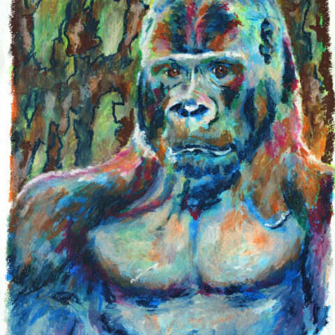 Kazuyuki「ゴリラ」