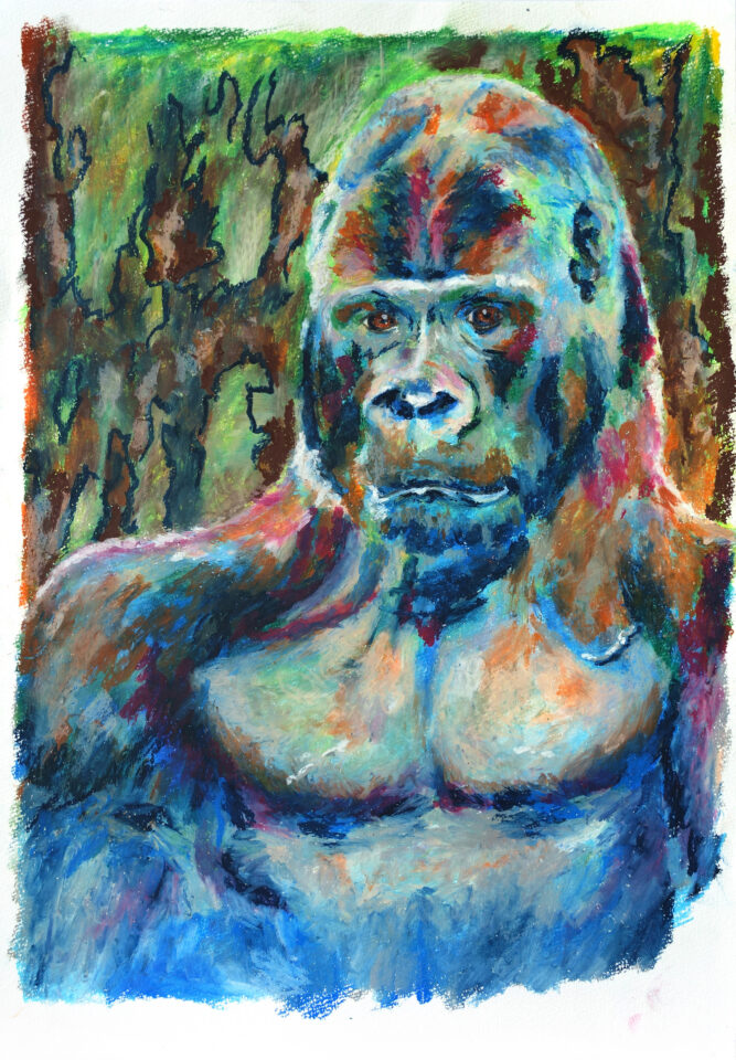 kazuyuki_ゴリラ