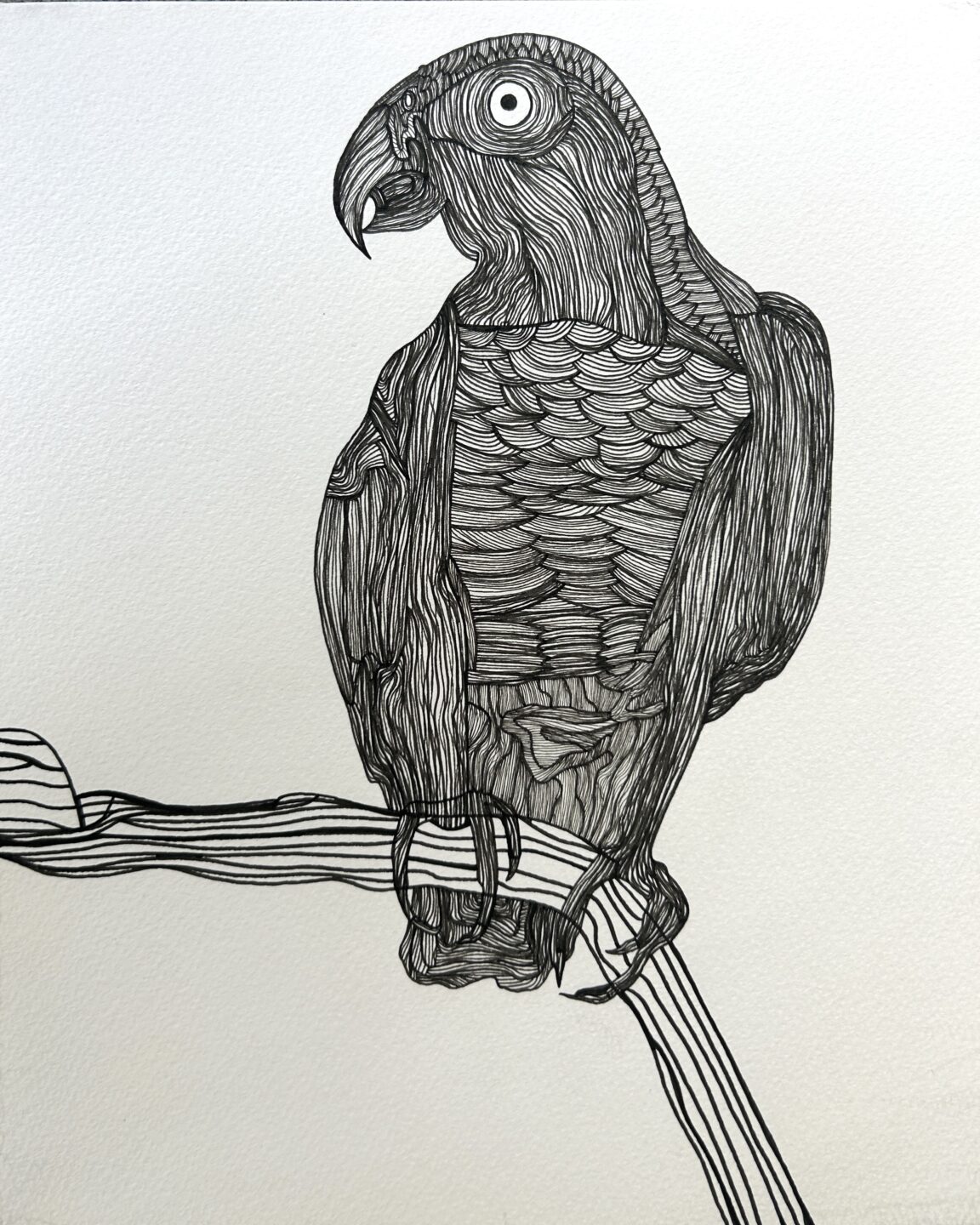 田中 拓実「ヨウム」