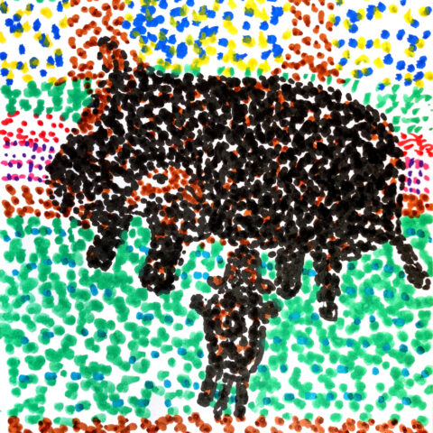 コビトカバ