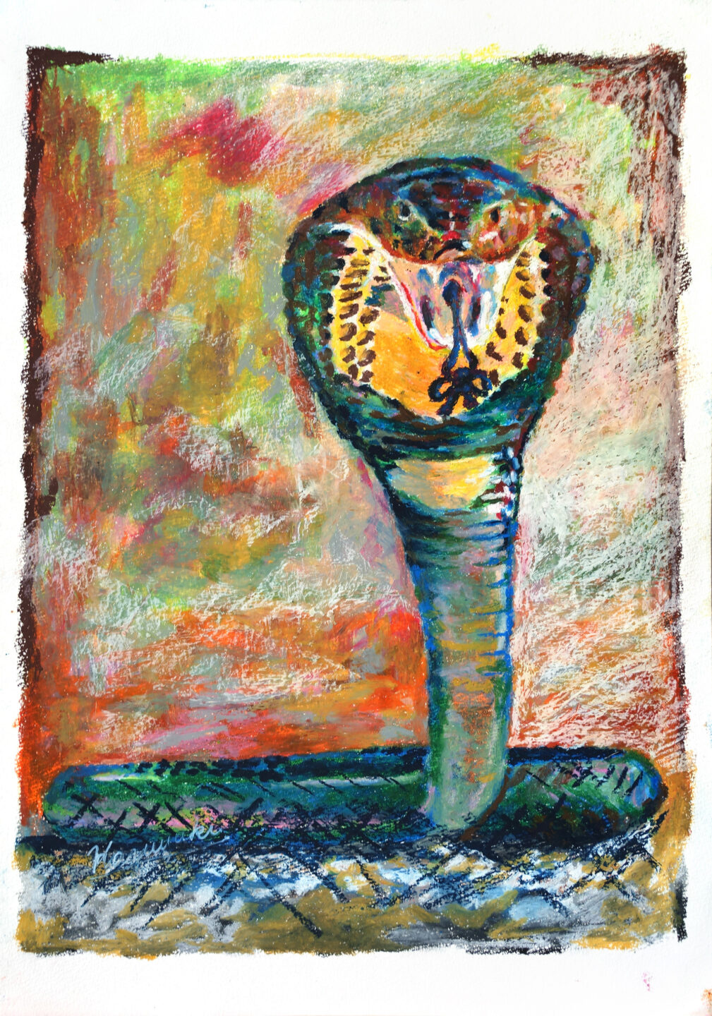 Kazuyuki「コブラ」