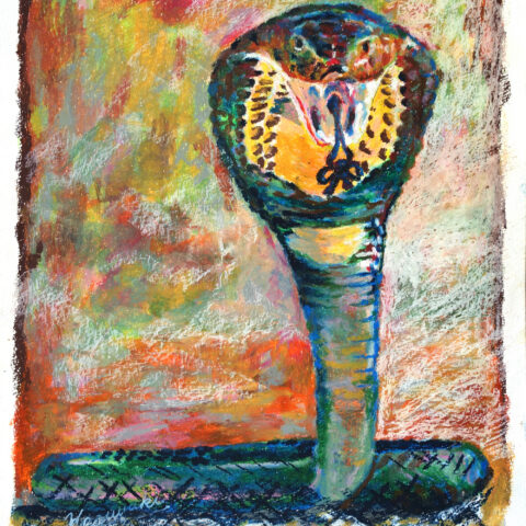 Kazuyuki「コブラ」